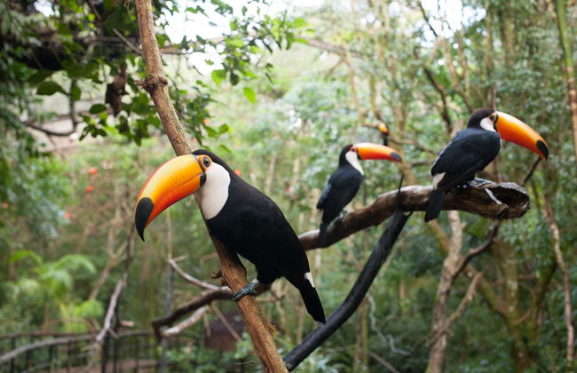 Parque das Aves Ticket - Photo 7